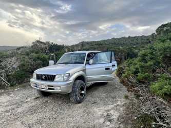 Wycieczka fakultatywna, Marathon Jeep Safari - Narodowy Park Akamas z Pafos