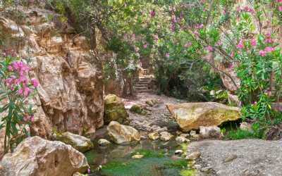 Wycieczka fakultatywna, Wycieczka Akamas Tour z Pafos