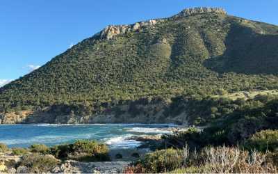 Wycieczka fakultatywna, Marathon [1] Jeep Safari - Narodowy Park Akamas z Larnaki